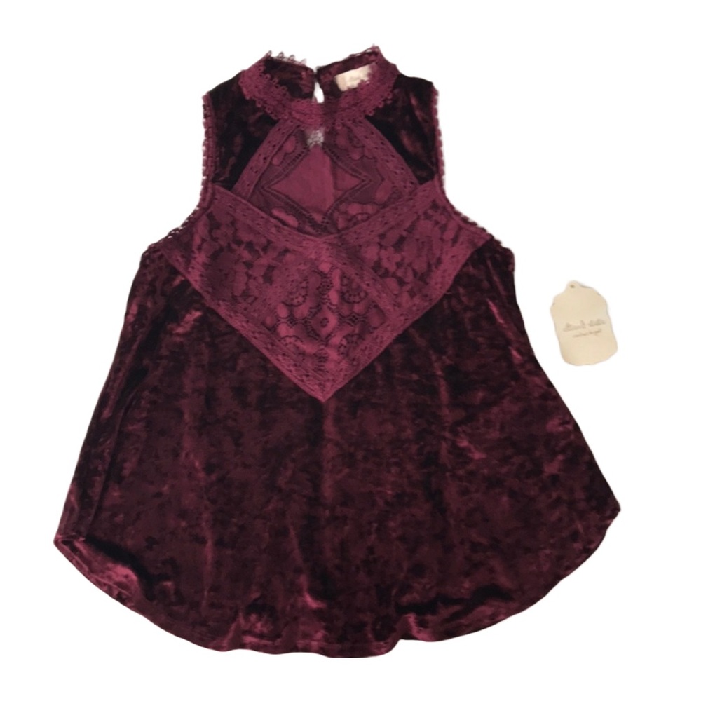 Altar’d State Sleeveless High Collar Velvet Blouse Too